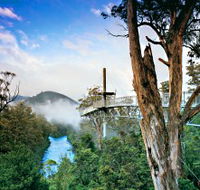 Tahune Adventures Tasmania - Accommodation Bookings