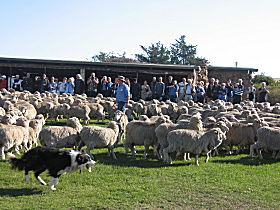  Accommodation Bookings