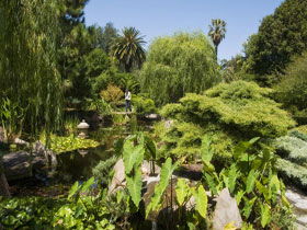Adelaide Himeji Garden - Accommodation Bookings 0