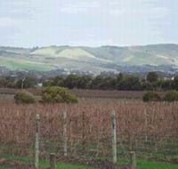 Mclaren Vale Premium Wines - Accommodation Bookings