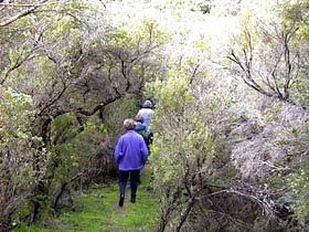 Jack And Hilda McArthur Walk - Accommodation Bookings 0