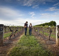 Coonawarra Wineries Walking Trail - Accommodation Bookings