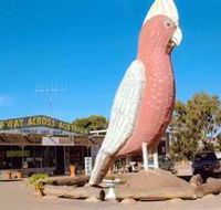 The Big Galah - Accommodation Bookings