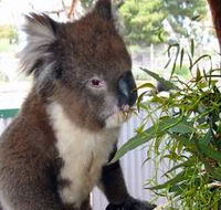 Glen-Forest Tourist Park - Accommodation Bookings