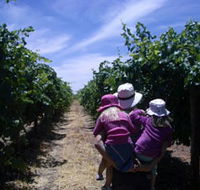 McLaren Vale Orchards - Accommodation Bookings