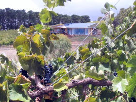 Zimmermann Wine - Accommodation Bookings 0