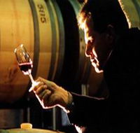 Salena Estate Wines - Accommodation Bookings