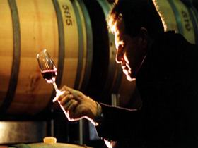 Salena Estate Wines - Accommodation Bookings 0