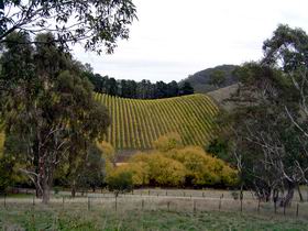 Mt Bera Vineyards - Accommodation Bookings 0