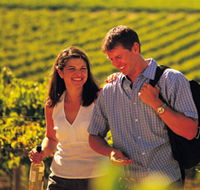 Tinlins Wines Pty Ltd - Accommodation Bookings