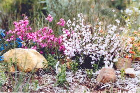 Stokes Bay Bush Garden - Accommodation Bookings 0