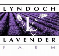 Lyndoch Lavender Farm and Cafe - Accommodation Bookings