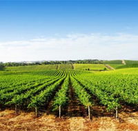 Aldinga Bay Winery - Accommodation Bookings
