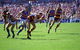 AAMI Stadium Tours - thumb 0