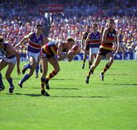 AAMI Stadium Tours - Accommodation Bookings