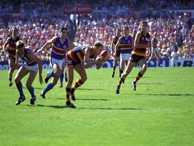 AAMI Stadium Tours - Accommodation Bookings 0