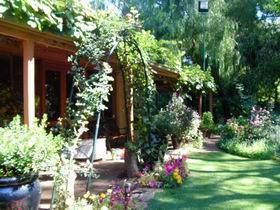 Rainforest Retreat - Accommodation Bookings 0