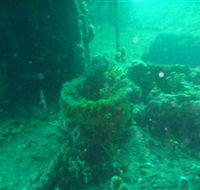 Wallaroo Scuba Club - Accommodation Bookings