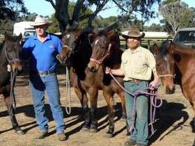 Coffin Bay SA Accommodation Bookings