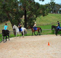 Megan Jones Riding School and Trail Rides - Accommodation Bookings