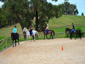 Megan Jones Riding School And Trail Rides - Accommodation Bookings 0