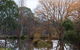 Gemtree Wetlands Ecotrail - thumb 0