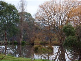 Gemtree Wetlands Ecotrail - Accommodation Bookings 0