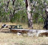 Penola Conservation Park - Accommodation Bookings