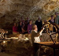 Naracoorte Caves National Park - Accommodation Bookings