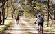 Bike About Mountain Bike Tours And Hire - thumb 0