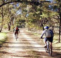 Bike About Mountain Bike Tours And Hire - Accommodation Bookings