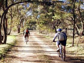 Bike About Mountain Bike Tours And Hire - Accommodation Bookings 0