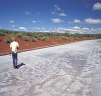 Lake Gairdner National Park - Accommodation Bookings