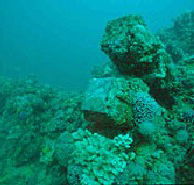 Adelaide's Underwater Heritage Trail - Accommodation Bookings