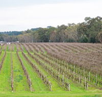 Dennis Wines - Accommodation Bookings
