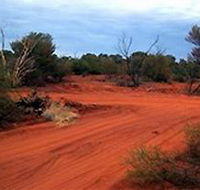 Tallaringa Conservation Park - Accommodation Bookings