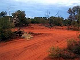 Tallaringa Conservation Park - Accommodation Bookings 0