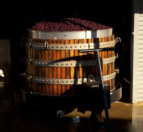 Greenock Creek Wines - Accommodation Bookings 1