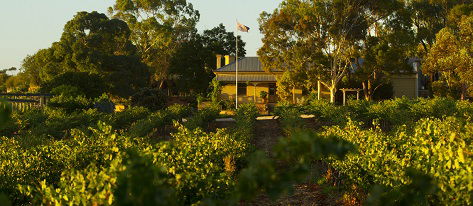 Greenock Creek Wines - Accommodation Bookings 2