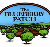 The Blueberry Patch - Accommodation Bookings