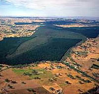 Mount Crawford Forest Reserve - Accommodation Bookings