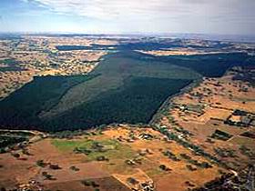Mount Crawford Forest Reserve - Accommodation Bookings 0