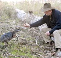 Sinclair's Gully - Accommodation Bookings