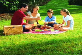  Accommodation Bookings