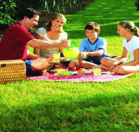 Bruny Island Berry Farm - Accommodation Bookings