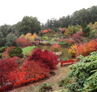 Emu Valley Rhododendron Garden - Accommodation Bookings