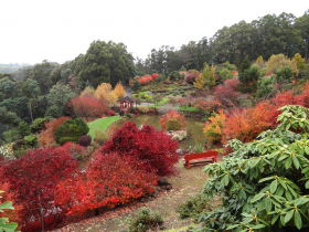 Emu Valley Rhododendron Garden - Accommodation Bookings 0
