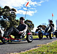Pedal Buggies Tasmania - Accommodation Bookings