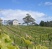 Bruny Island Premium Wines Bar and Grill - Accommodation Bookings