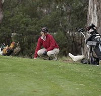 Tasmania Golf Club - The - Accommodation Bookings